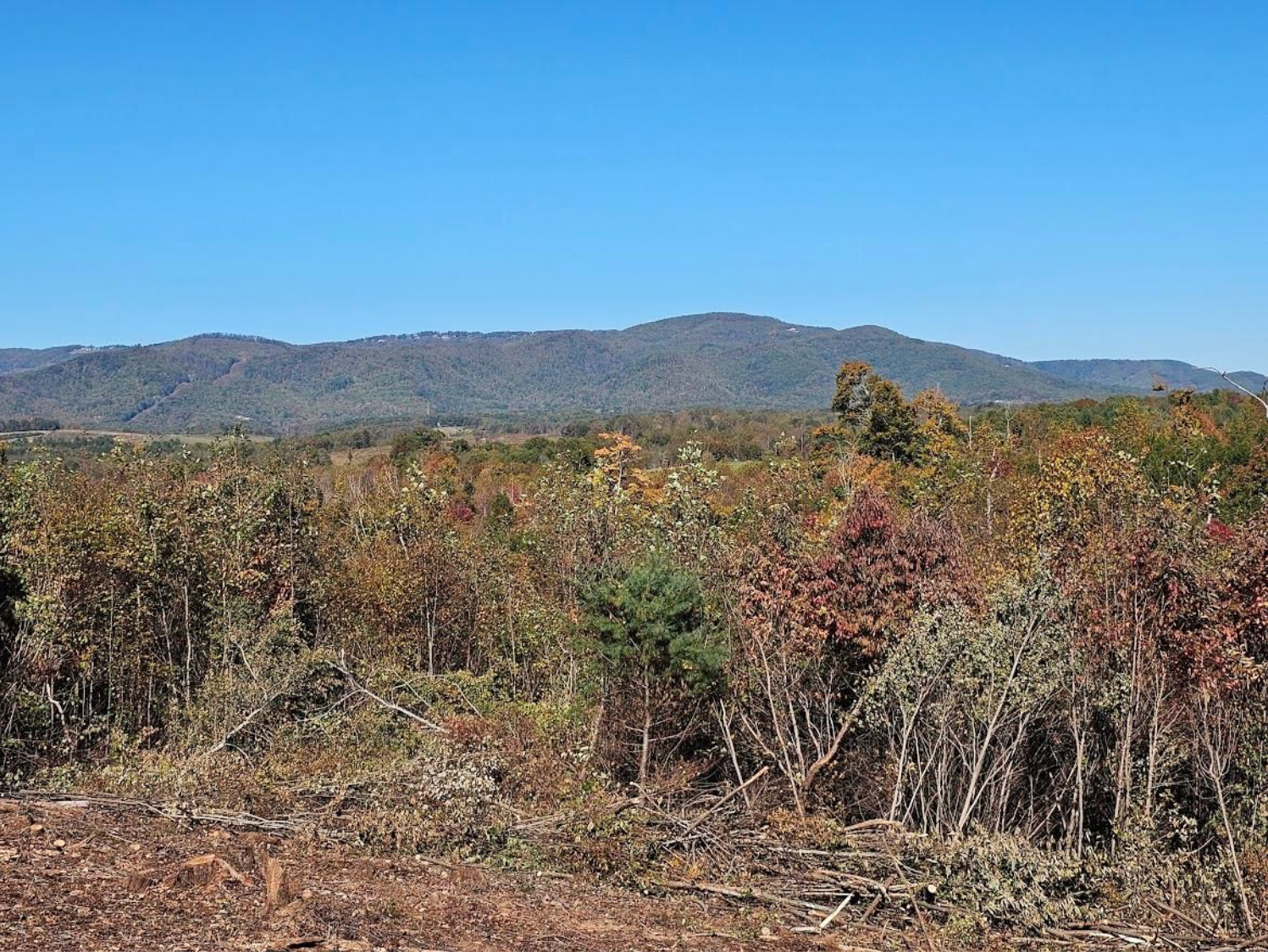 11 acres Wilkes County, NC Compass Land and Real Estate